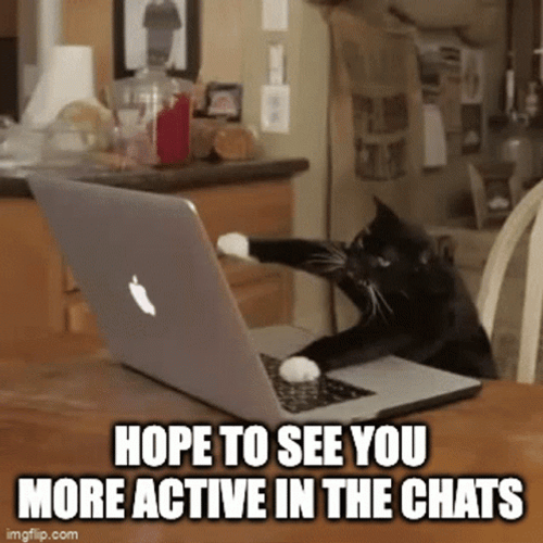 chat rooms rules
