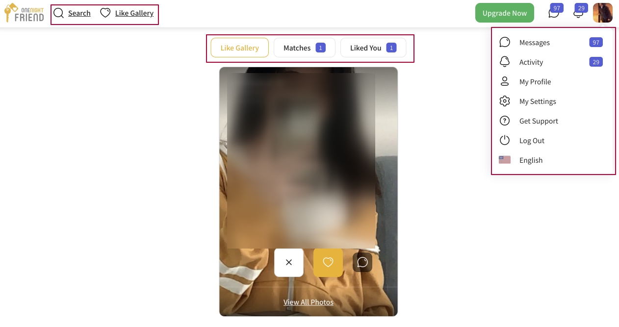 User interface and design - OneNightFriend