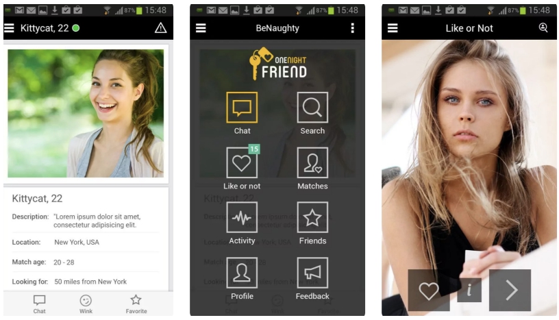 OneNightFriend overview