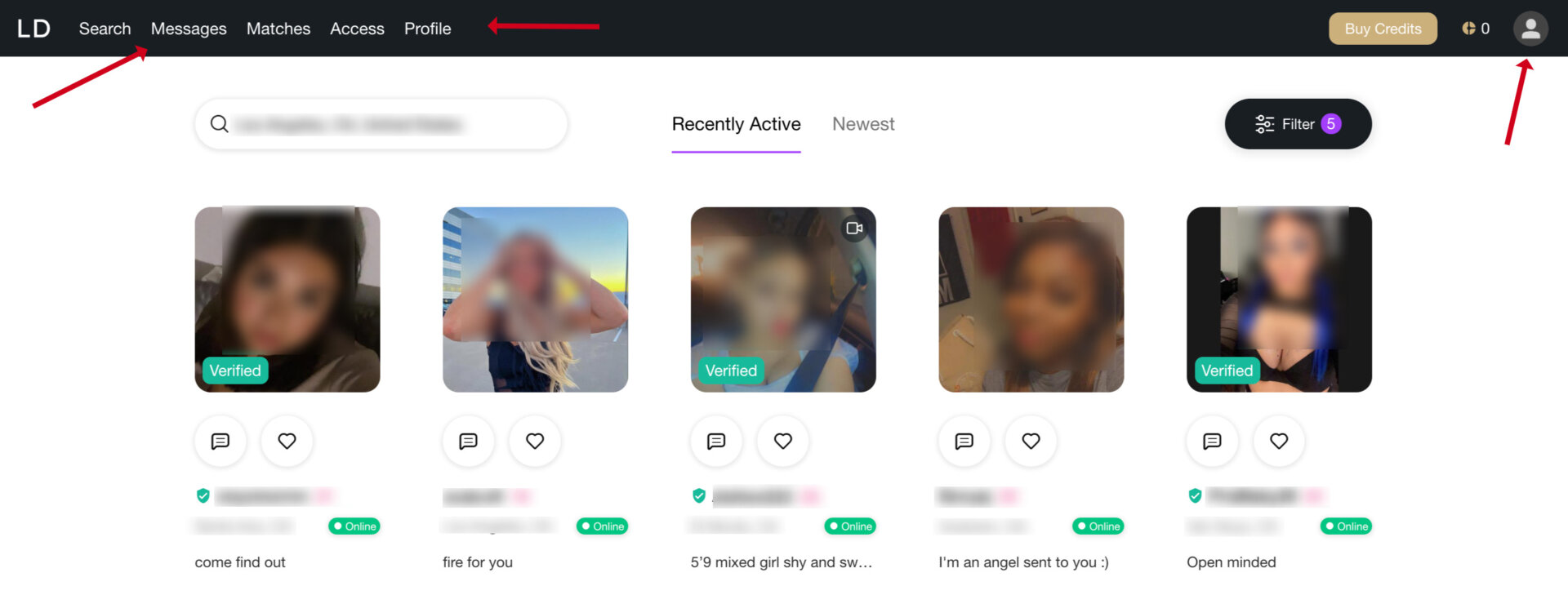 User interface of LuxuryDate