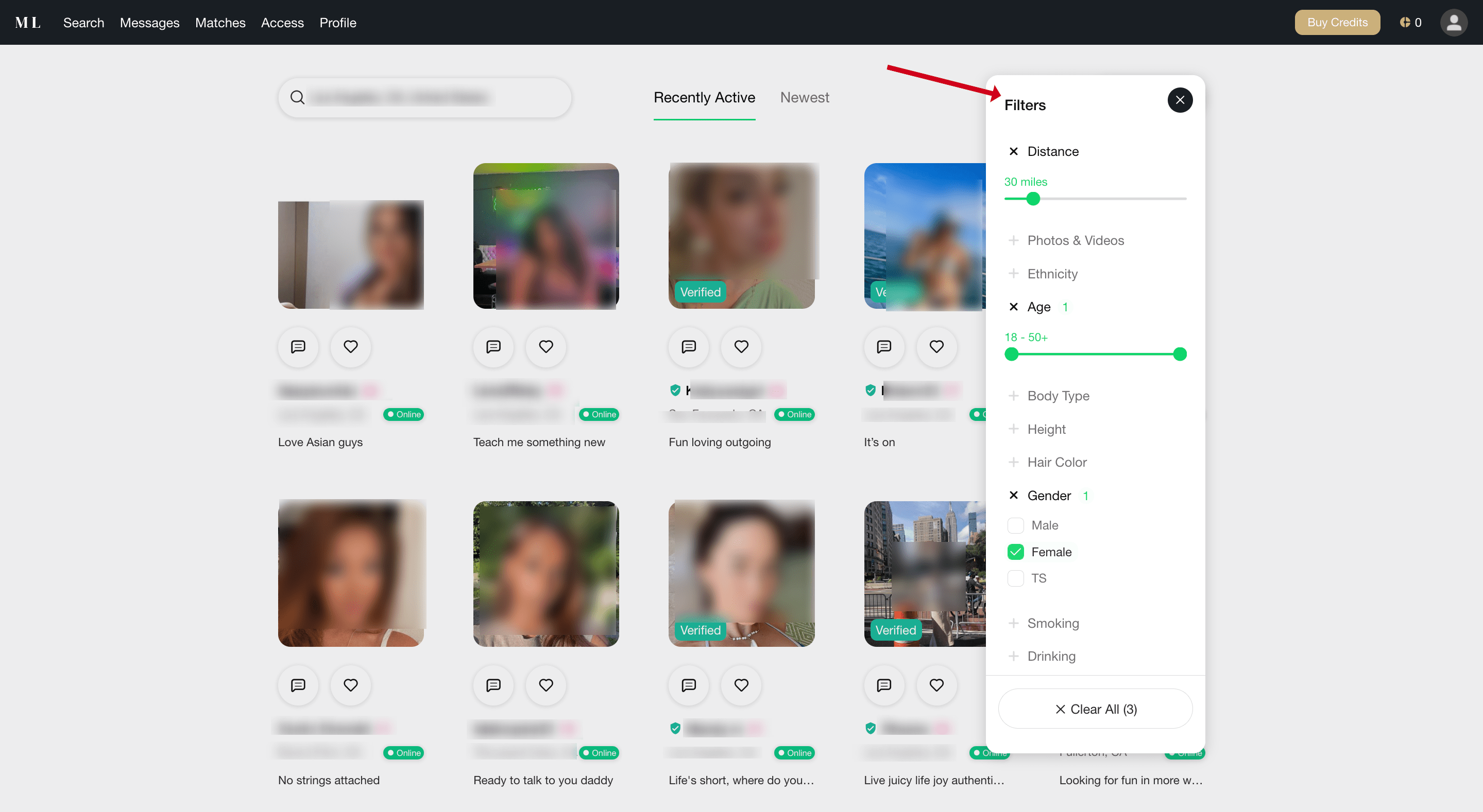 filters on MillionaireLove site